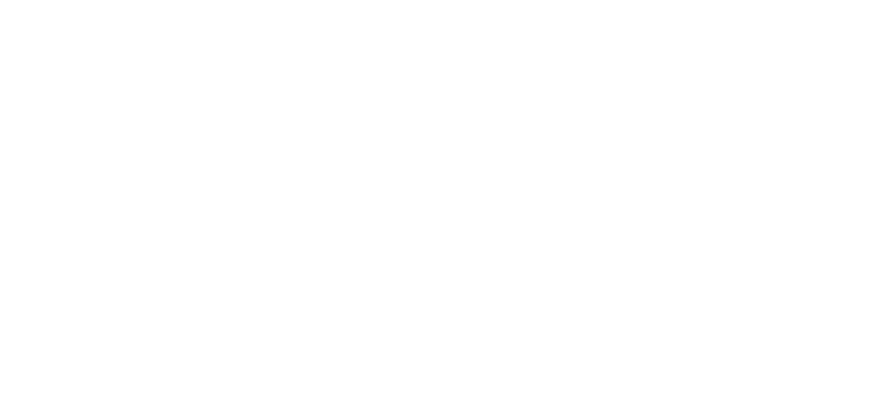 white pelsall windows logo